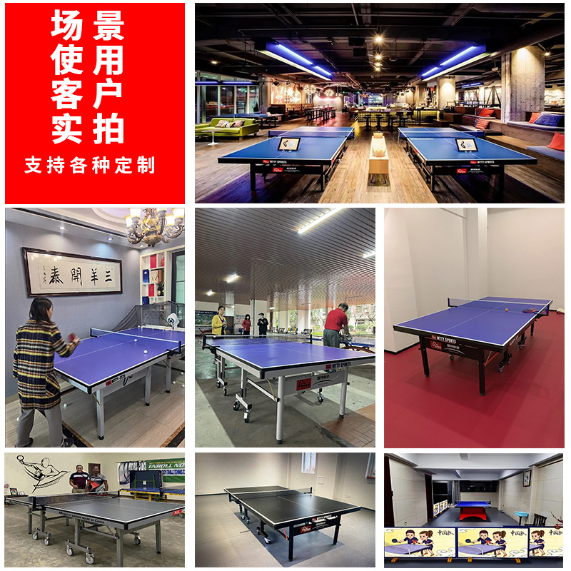 室內(nèi)折疊乒乓球臺(tái)T2550
