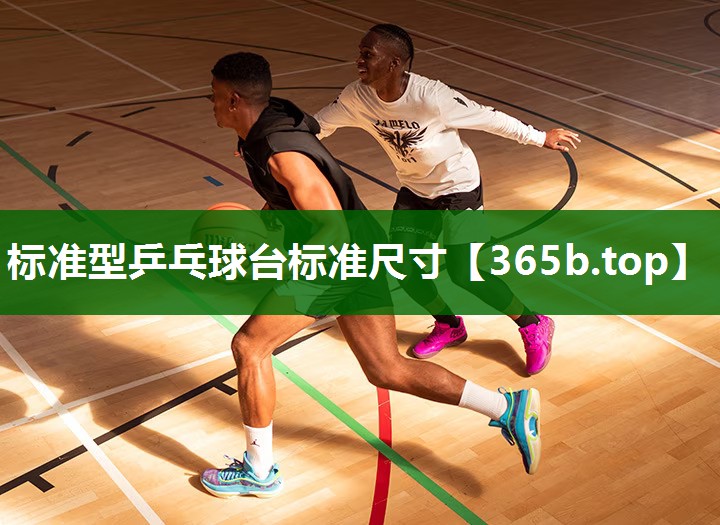標(biāo)準(zhǔn)型乒乓球臺標(biāo)準(zhǔn)尺寸 標(biāo)準(zhǔn)型乒乓球臺標(biāo)準(zhǔn)尺寸