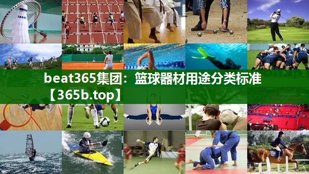 籃球器材用途分類標(biāo)準(zhǔn) 籃球器材用途分類標(biāo)準(zhǔn)