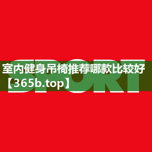 室內(nèi)健身吊椅推薦哪款比較好 室內(nèi)健身吊椅推薦哪款比較好