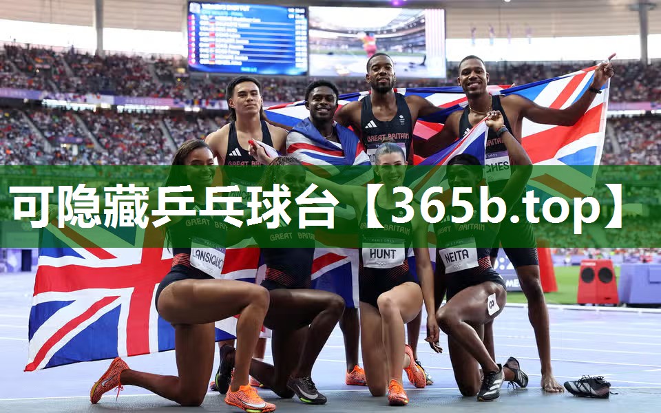可隱藏乒乓球臺 可隱藏乒乓球臺