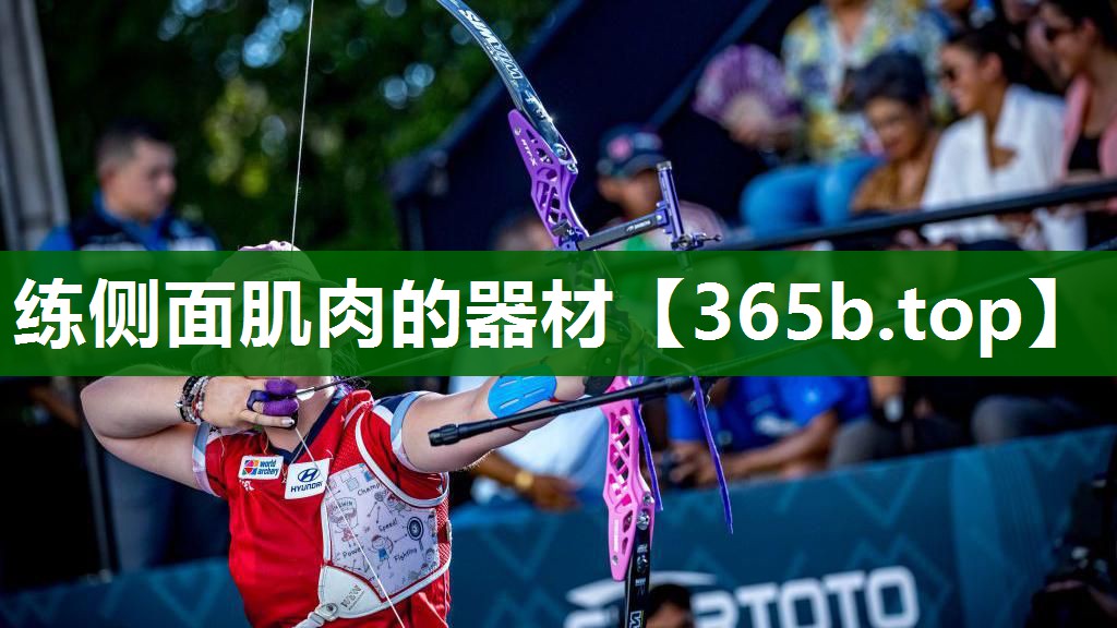 練側(cè)面肌肉的器材 練側(cè)面肌肉的器材