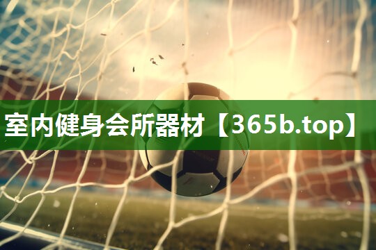 室內(nèi)健身會(huì)所器材 室內(nèi)健身會(huì)所器材